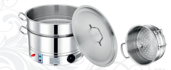 Electrical Steamer with Insert
